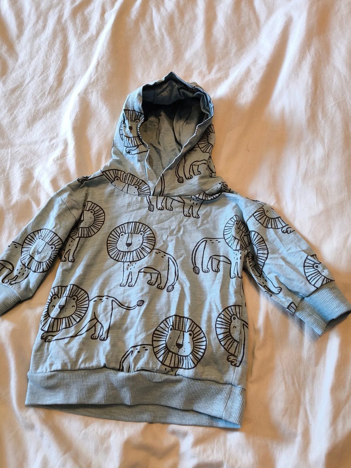 Lion Print Hoodie Two-Piece Set, photo 2