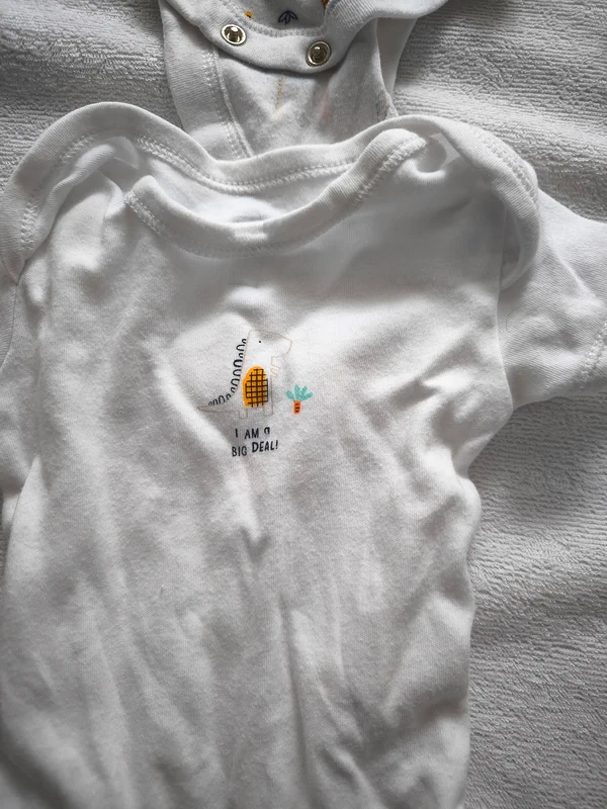 Baby dinosaur print bodysuit set, photo 4