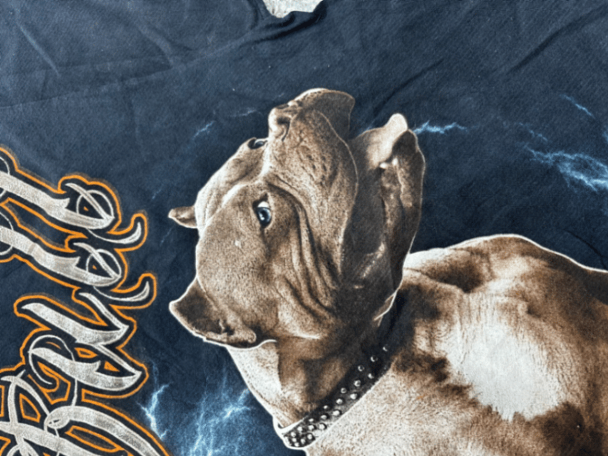 Graphic Pitbull print black t-shirt - photo 5