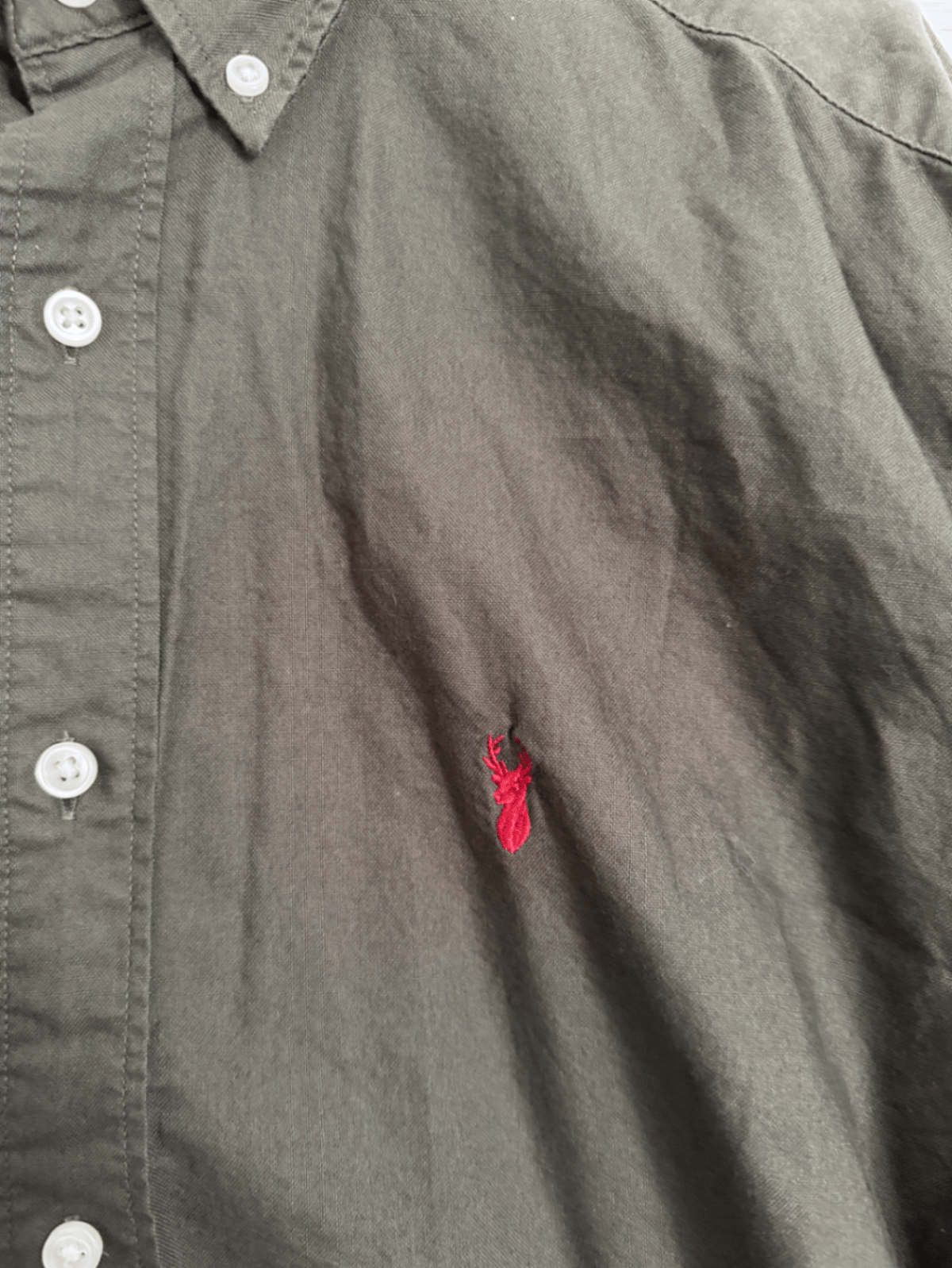 Next Olive Button Down Shirt, photo 2