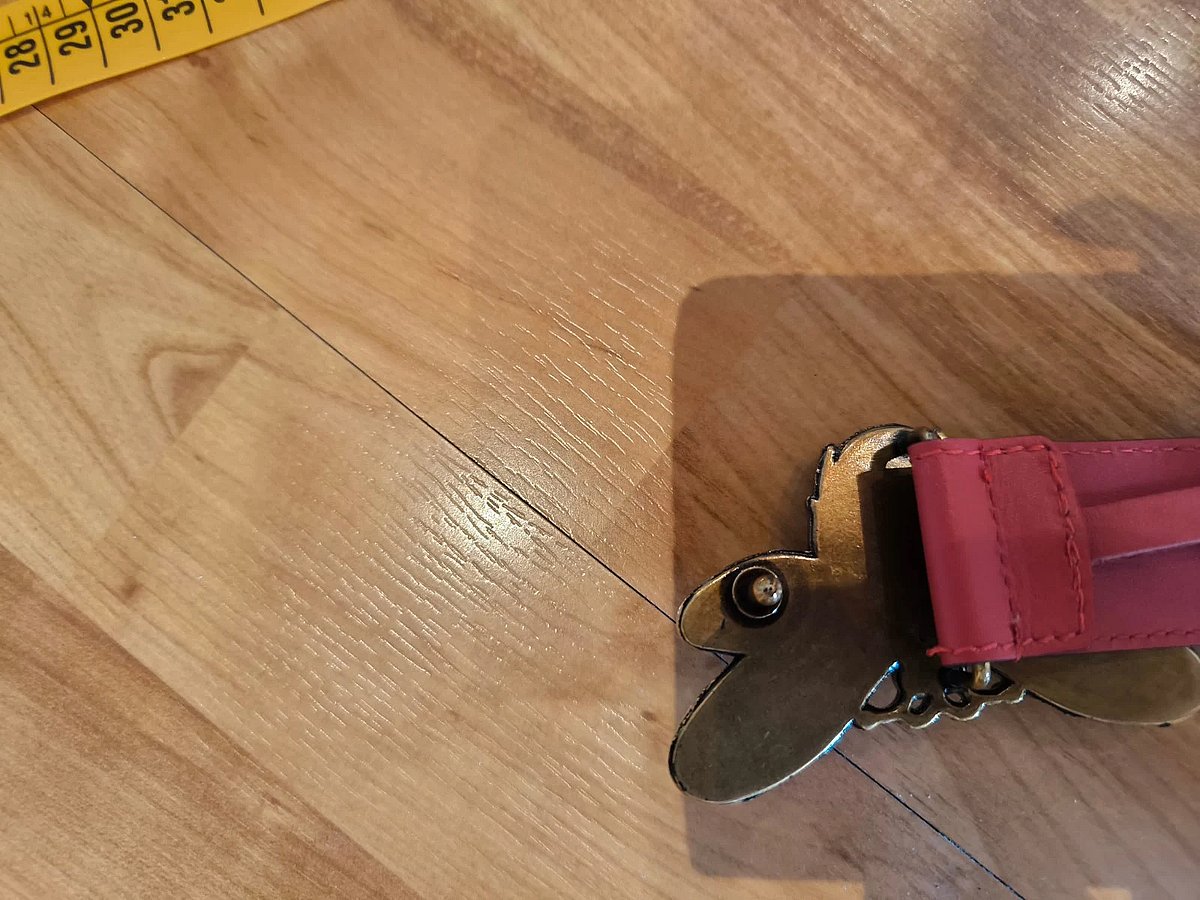 Red belt with bee buckle, photo 2