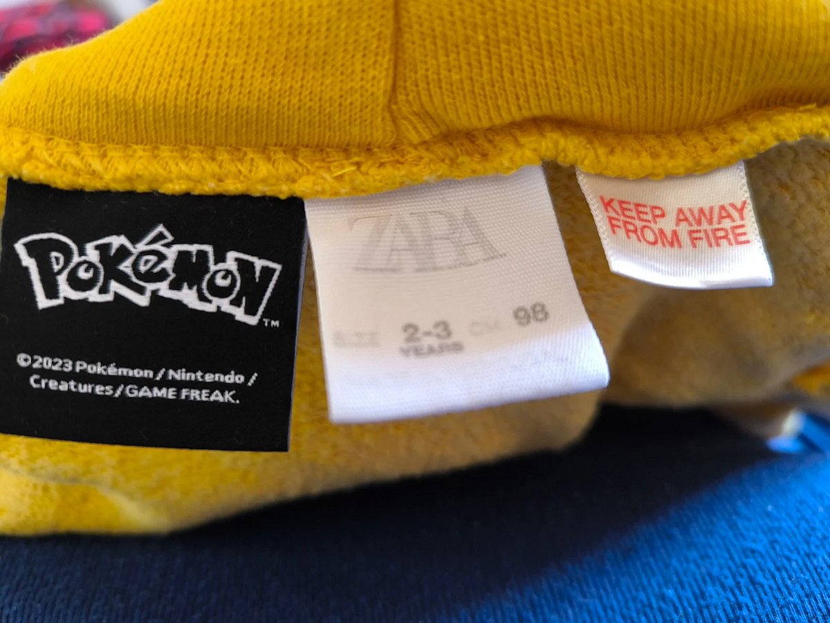 Pokémon Hoodie , photo 4