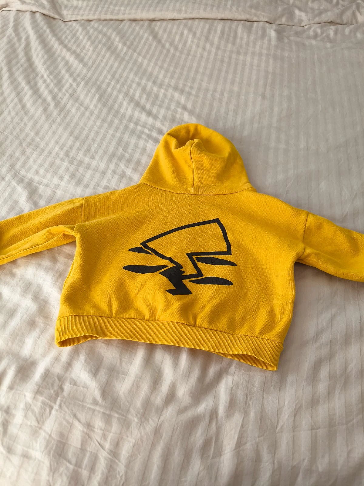 Pokémon Hoodie , photo 3