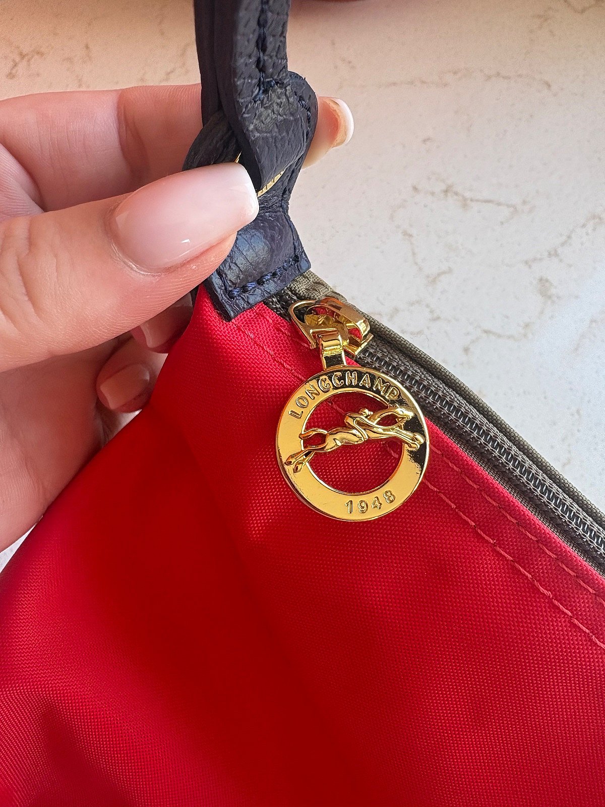 Longchamp Le Pliage “Replay” Limited Edition Shoulder Bag - photo 5