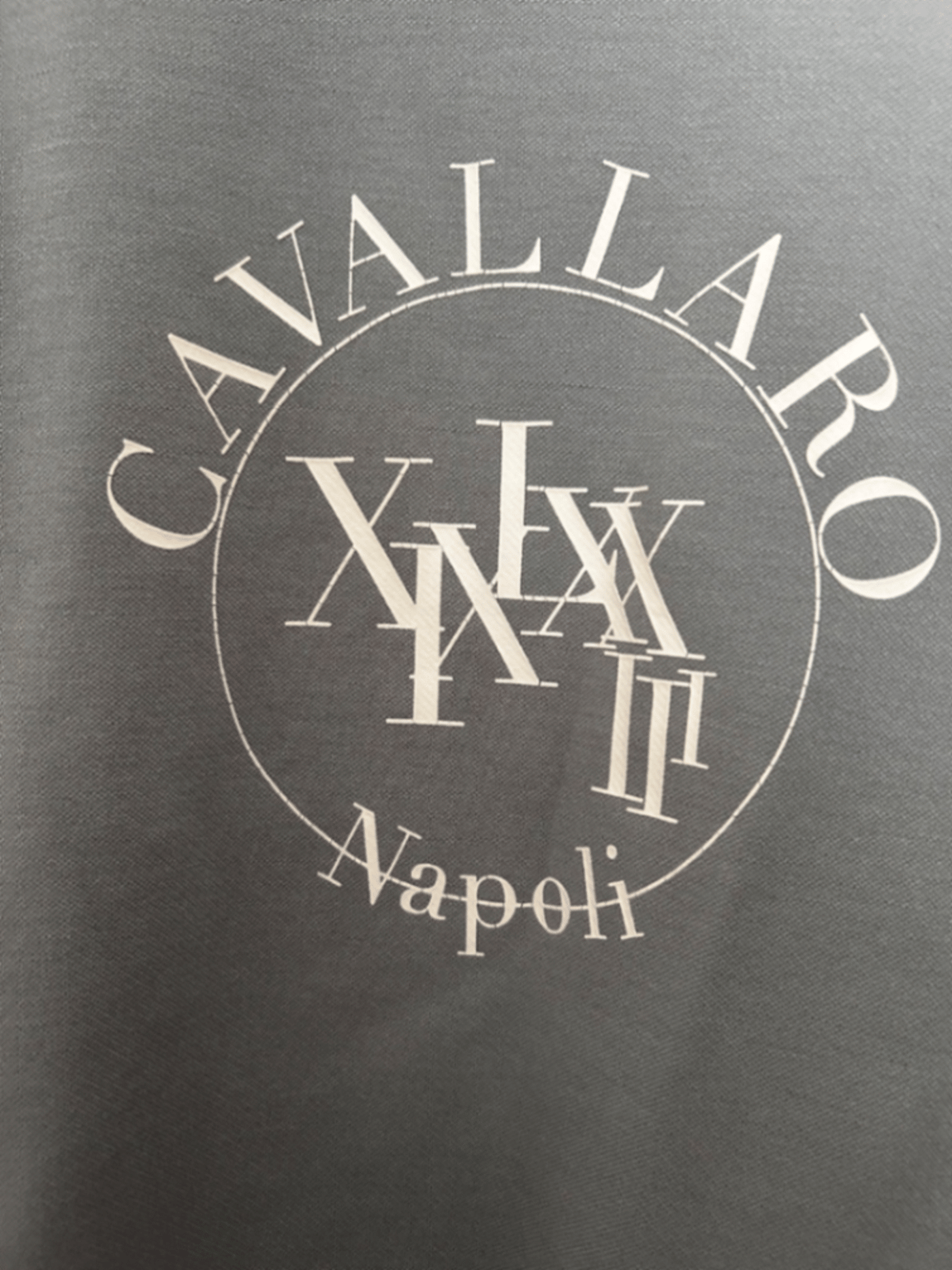 Cavallaro Napoli Grey Logo Sweatshirt, photo 2