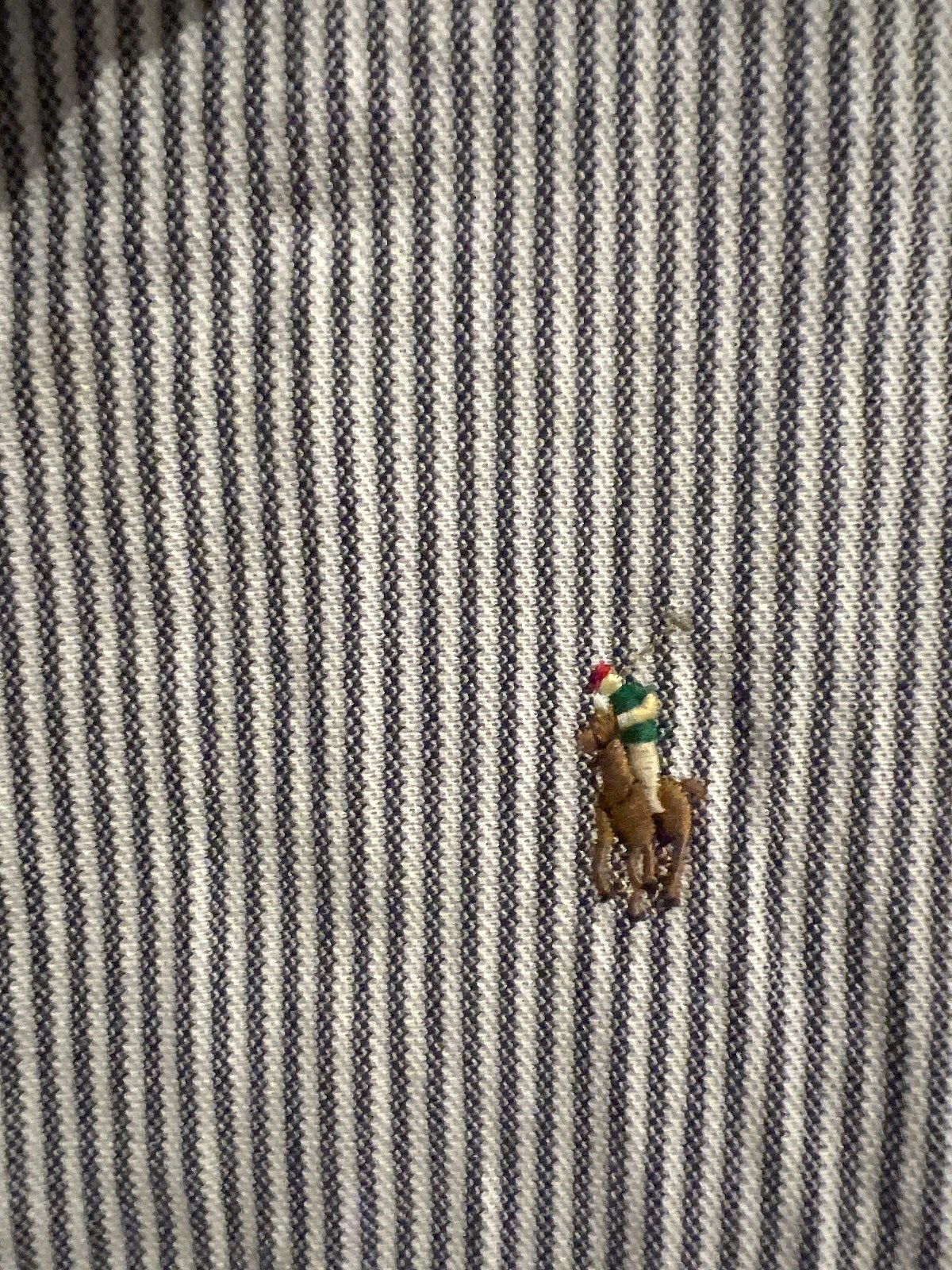 Polo Ralph Lauren shirt, photo 3