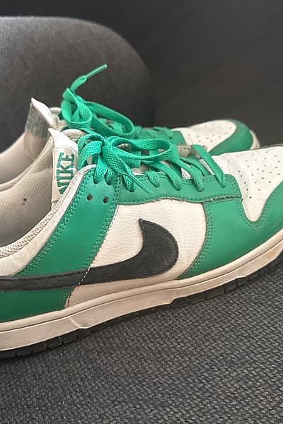 Nike Dunk Low “Stadium Green” by Nike — pre-loved on Thrifted.mt